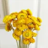 Dekorativa blommor daisy torkad blomma bukett naturlig krysantemum torr för bröllop centerpieces heminredning diy brudmaterial