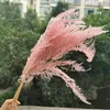 Decorative Flowers 8pcs/30-35cm Nature Preserved Osmunda Japonica Bouquet Eternal Fern Leaf DIY Glass Cover Floating Flower Material Wedding