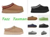 F23 Tazz Tasman Slippers Chestnut Fur Slides Sheepskin Shearling Tazz Tazz New Mules Men Ultra Mini Platform Boot Slip-On Shoes Suede Sued