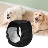 Собачья одежда Pet Pantie Стильная утечка