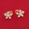 Stud Earrings 24K Gold Color Women Stone Forever Classic Style Star Flower Jewelry