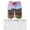 Męskie szorty pustynne Sunset Gym Summer Cactus Landscape Casual Board Short Pants Mężczyźni surfing Szybkie suszenie nadrukowane pędki pływackie