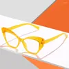 Sunglasses Butterfly Frame Anti-blue Light Glasses Women's Transparent Flat Oversized Anti Blue Eyeglasses Wholesale