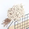 Fiori decorativi Circa 30 g / 10-25 cm Vero mini frutta Bouquet di fiori secchi naturali Piccoli frutti bianchi per la decorazione domestica Decorazioni nuziali