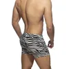 Maillots de bain pour hommes été hommes zèbre maillot de bain séchage rapide plage conseil Shorts Sexy taille basse mâle maillot de bain Sport surf