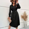 Womens Clothing Autumn And Winter Long Sleeved Shirt Skirt Lapel Lace Dress