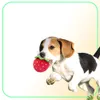 Interactif pour petits et grands chiens, produits pour animaux de compagnie, jouets en peluche pour chiots, fournitures Kong, jouet à mâcher pour chien LJ2011255537041