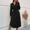 Womens Clothing Autumn And Winter Long Sleeved Shirt Skirt Lapel Lace Dress