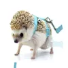 Small Animal Supplies Hedgehog Traction Rope To Prevent Pets From Escaping Suitable For Rabbits Squirrels Minks chinchillas Etc 230802