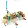 Small Animal Supplies Hedgehog Traction Rope To Prevent Pets From Escaping Suitable For Rabbits Squirrels Minks chinchillas Etc 230802