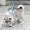 개 칼라 하네스 D- 링 고양이 나일론 스트랩 베스트 리아 쉬 세트 조정 가능한 강아지 야외 도보 작은 애완 동물 용품을위한 달리기