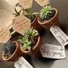 Dank u voor uw hulp bij het kweken van succulenten Tags Leraar Waardering Geschenken Houten Plant Stakes Etiketten voor Thanksgiving XBJK2305