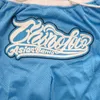 heren shorts basketbal shorts carolina vier zak rits naaien borduurwerk hoogwaardige outdoor sport shorts strand broek blauw 230802