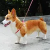 犬の襟ハーネスDリング猫ナイロンストラップベストリーシュセット調整可能な子犬の屋外ウォーキング小さなペット用品のために走る