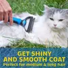 Pet Dog Flea Tick Rimedi Prodotti per la toelettatura Pettine per la depilazione Cat Detangler Rifinitura della pelliccia Dematting Deshedding Brush Tool Per capelli lunghi arruffati Ricci JL1768