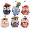 Hibou Pot en céramique vide plante succulente Pot Cactus Pots de fleurs dessin animé coloré plante succulente pour bureau jardin maison