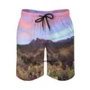 Męskie szorty pustynne Sunset Gym Summer Cactus Landscape Casual Board Short Pants Mężczyźni surfing Szybkie suszenie nadrukowane pędki pływackie