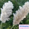 20 Stems Pampas Grass Bouquet Dried Flower Wedding Use Christmas Decor Artificial Flowers Fall Decoration Wholesale