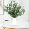 Fleurs décoratives feuilles d'eucalyptus séchées tiges de verdure véritable branches fraîches pour douche mariage guirlande fête maison parfum vase décor