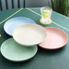 Platen 25 cm Milieuvriendelijke Tarwestro Plaat Kinderen Servies Diner Servies Herbruikbare Huishoudelijke Servies Sets Onbreekbaar