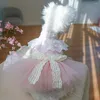 Chien Vêtements Belle Robe À Lacets Bowknot Décor Cosplay Respirant Mignon Maille Fil Ourlet Pet Princesse Tulle