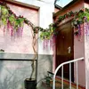 Dekorativa blommor 12st/Lot Artificial Silk Wisteria Vines Hanging Bouquet Rattan Arch Garland For Home Garden El Wedding Decor