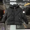 Designer de luxo para baixo jaqueta roupas montanhismo casual puffer jaqueta clássico para baixo vestuário outerwear casaco de alta qualidade 2e0y4