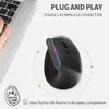 Myszy Delux M618C bezprzewodowe ciche ergonomiczne pionowe 6 przycisków Mysa odbiornik USB RGB 1600 DPI Optical z laptopem na PC 230804