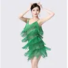 Desgaste de la etapa Sexy Lady Girls Fringe Tassel Falda latina Mujeres Performance Ballroom Tango Salsa Cha Samba Rumba Practice Dance Dress