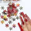 Nail Art Decorations 12 Grids Snowflakes Christmas Xmas Snow Flakes Mermaids Glitter Nails Sequins Winter Year Accessories