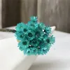 30 pièces Decoraitve fleur séchée Mini marguerite étoile fleur Bouquet plantes naturelles petit Floral pour mariage bricolage décoration de la maison