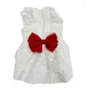 Chien vêtements mignon dentelle robe pour animaux de compagnie vêtements petits vêtements robes de mariée chat Yorkshire poméranien caniche Schnauzer Costume