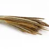 Dried Flower Wholesale Kirin Grass Small Yellow Grass Rough Melic Herb Natural Air-Dried Real Flower Living Room Home Decoration Flower Arrangement Material