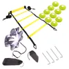 Ballen Verstelbaar Voetenwerk Voetbal Fitness Snelheid Sporten Behendigheidsladder Trainingsuitrusting Kit met Weerstand Parachute Disc 230803