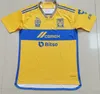 Gignac Tigres Jersey 2023 2024 Nico N.ibanez Pizarro 축구 셔츠 키트 키트 J.Angulo Gorriaran Caetano D.Reyes 축구 저지 플레이어 버전 23/24