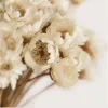 Dekoration 30st Dekoraitve Dried Flower Mini Daisy Star Flower Bouquet Natural Plants Small Floral for Wedding DIY Home