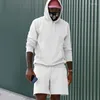 Männer Trainingsanzüge Fleece Zweiteilige Sets Männer Hip Hop Streetwear Mode Reine Farbe Langarm Hoodies Und Shorts Herren Freizeitkleidung