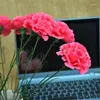 Decorative Flowers Carnation Artificial Flower Living Room Table Decoration 38 Th Mother's Day Thanksgiving Ornamental Fake