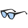 Solglasögon 2023 Fashion Cat Eye Women Outdoor Sun Protection Glasses Retro Brand Design Black Shades Eyewear For Female