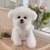 Chien vêtements mignon dentelle robe pour animaux de compagnie vêtements petits vêtements robes de mariée chat Yorkshire poméranien caniche Schnauzer Costume