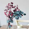Fleur 110g / lot, le bouquet d'eucalyptus préservé naturel, la fleur séchée éternelle pour les accessoires de décoration de maison de mariage, affichage