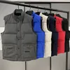 Мужская жилетная дизайнерская куртка gilet роскошная девственная женщина жилет Женщина, наполненное перьев, материал, графит серо -черный белый синий поп, мужская пара, пара, пара холодные