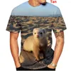 Мужские футболки T 2023 Летняя последняя модная творческая 3D-печать футболка животное милое хорька для мужчин и женщин