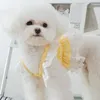 Köpek Giyim Yaz Şifon Etek Kedi Köpek Yavru Yoksu Yorkshire Pomeranian Giysileri Shih Tzu Maltese Bichon Kaniş Schnauzer Giyim