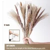 Decorative Flowers Natural Pampas Grass Bouquet Decor Dried For Boho Home And Wedding Rustic Farmhouse Party