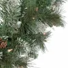 Pre-Lit Snow Valley Pine Artificial Christmas Wreath 24-Inch Clear Lights