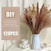 Fleurs décoratives 120 pièces herbe de pampa séchée pompons naturels Boho Bouquet bricolage artistique décor à la maison pour mariage Arrangements floraux