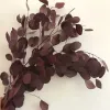 Home Decoration accessories,Display Flower 110g/lot,Natural Preserved Eucalyptus Leaves Bouquet, Eternal Dried Flower for Wedding