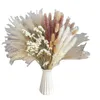 Decorative Flowers Fluffy Pampas Grass Wedding Arrangement Decoration Natural Phragmites Dried Bouquet Boho Home Living Room Table Decor