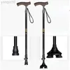 Trekking Poles Pioneer Wood T Handle Walking Sticks For Tourism Cane Trekking Nordic Walking Pole Hiking Crutches Bar Ultralight HKD230804